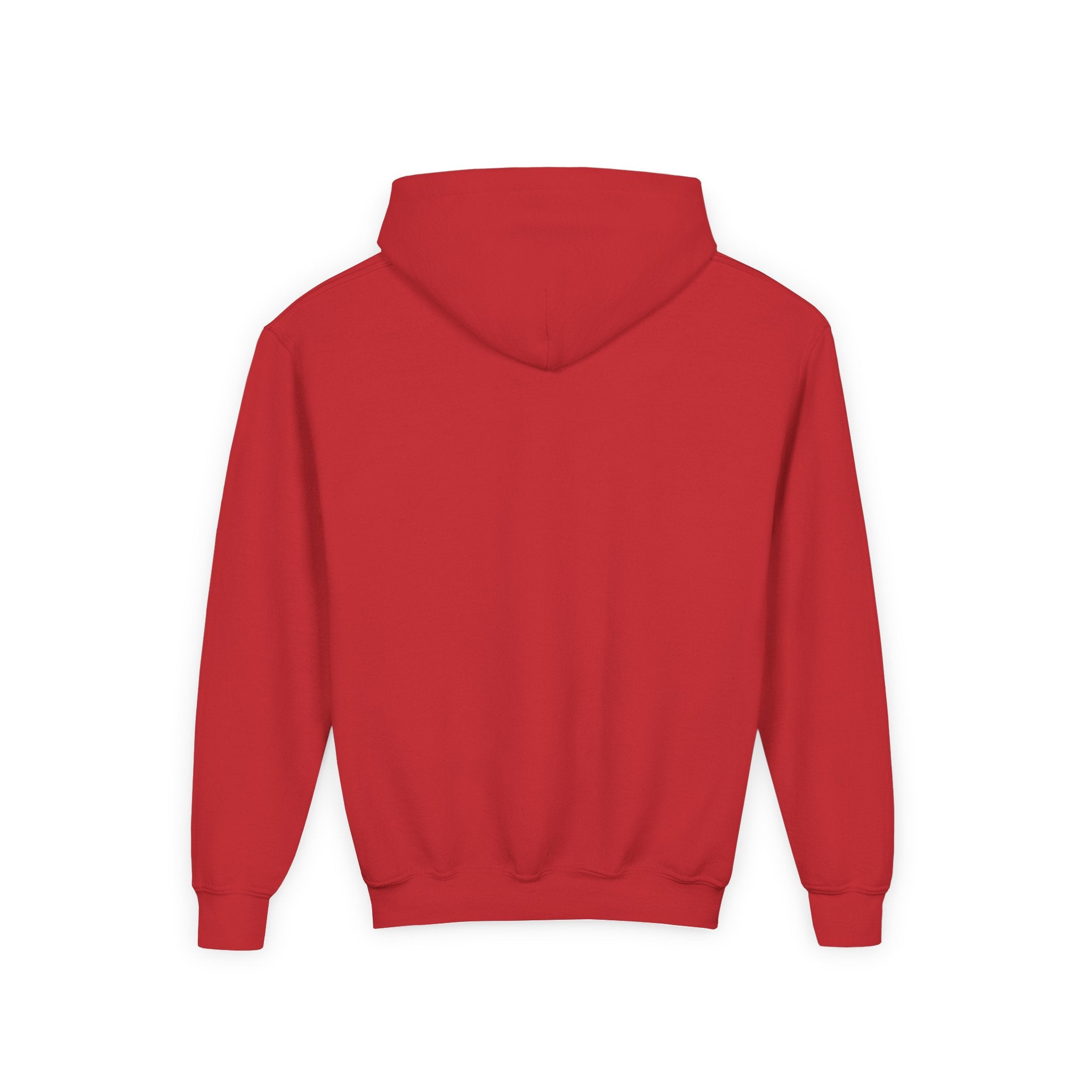 Youth Wolverines Hooded Sweatshirt