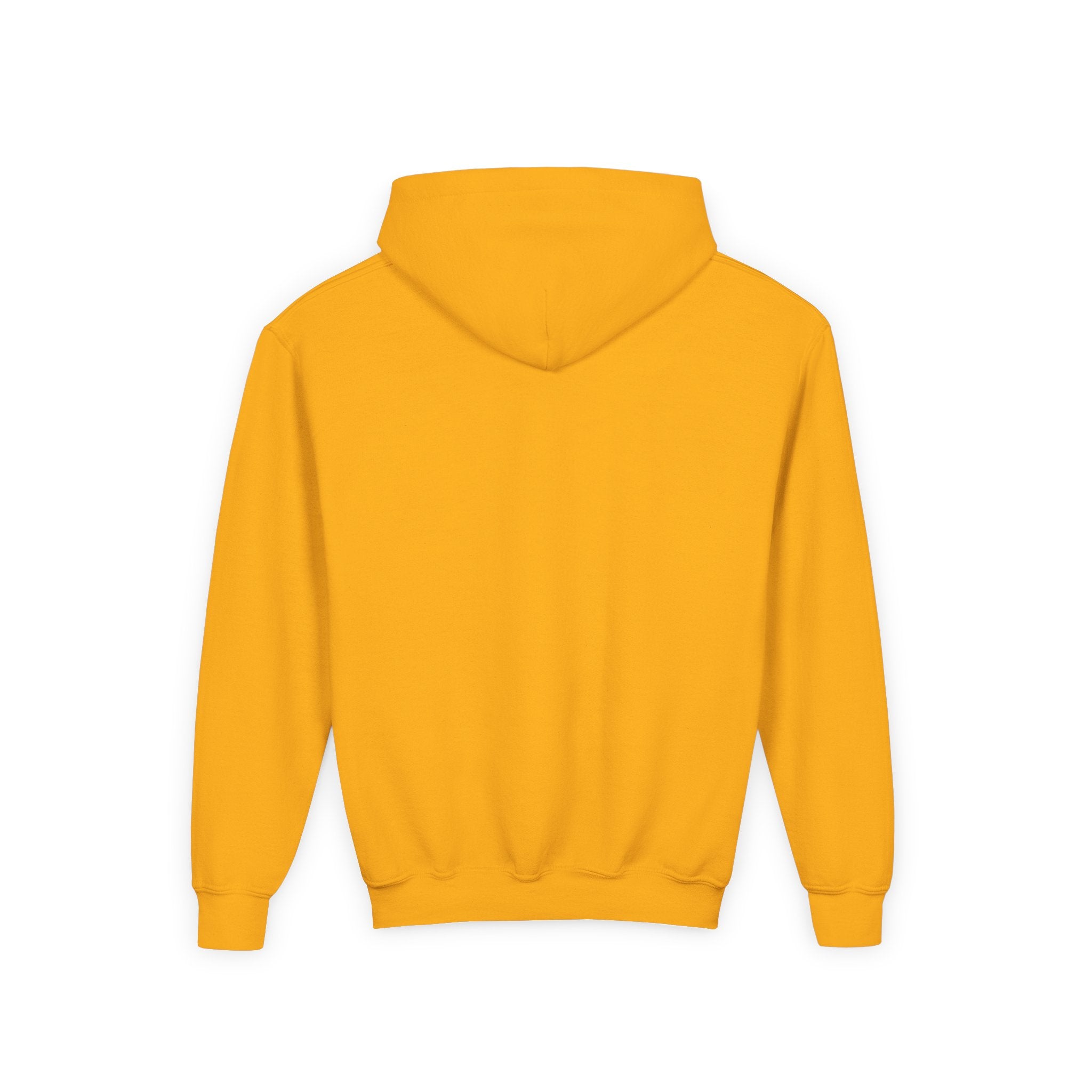 Youth Wolverines Hooded Sweatshirt