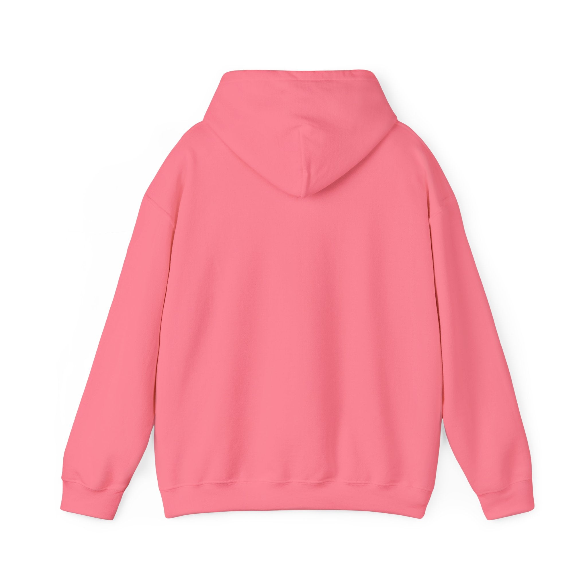 Wolverines Hooded Sweatshirt