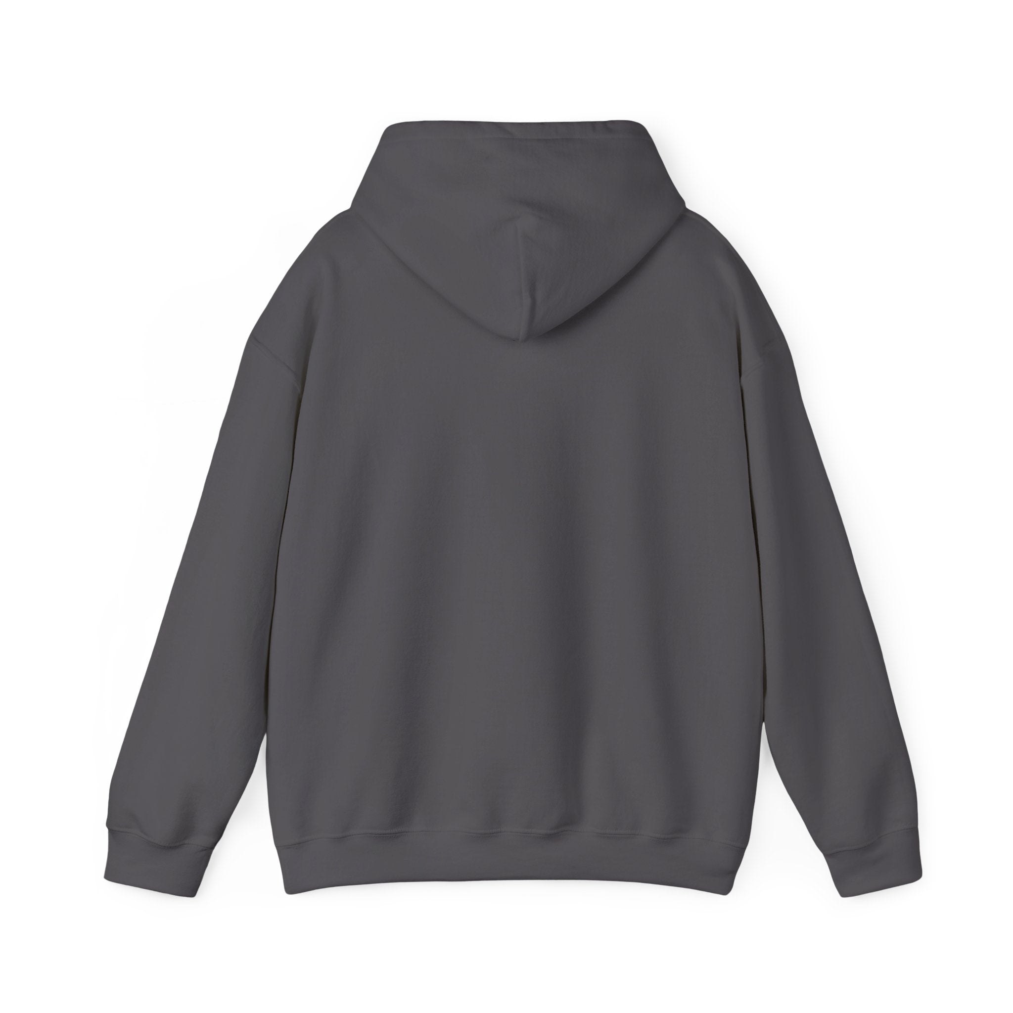 Wolverines Hooded Sweatshirt