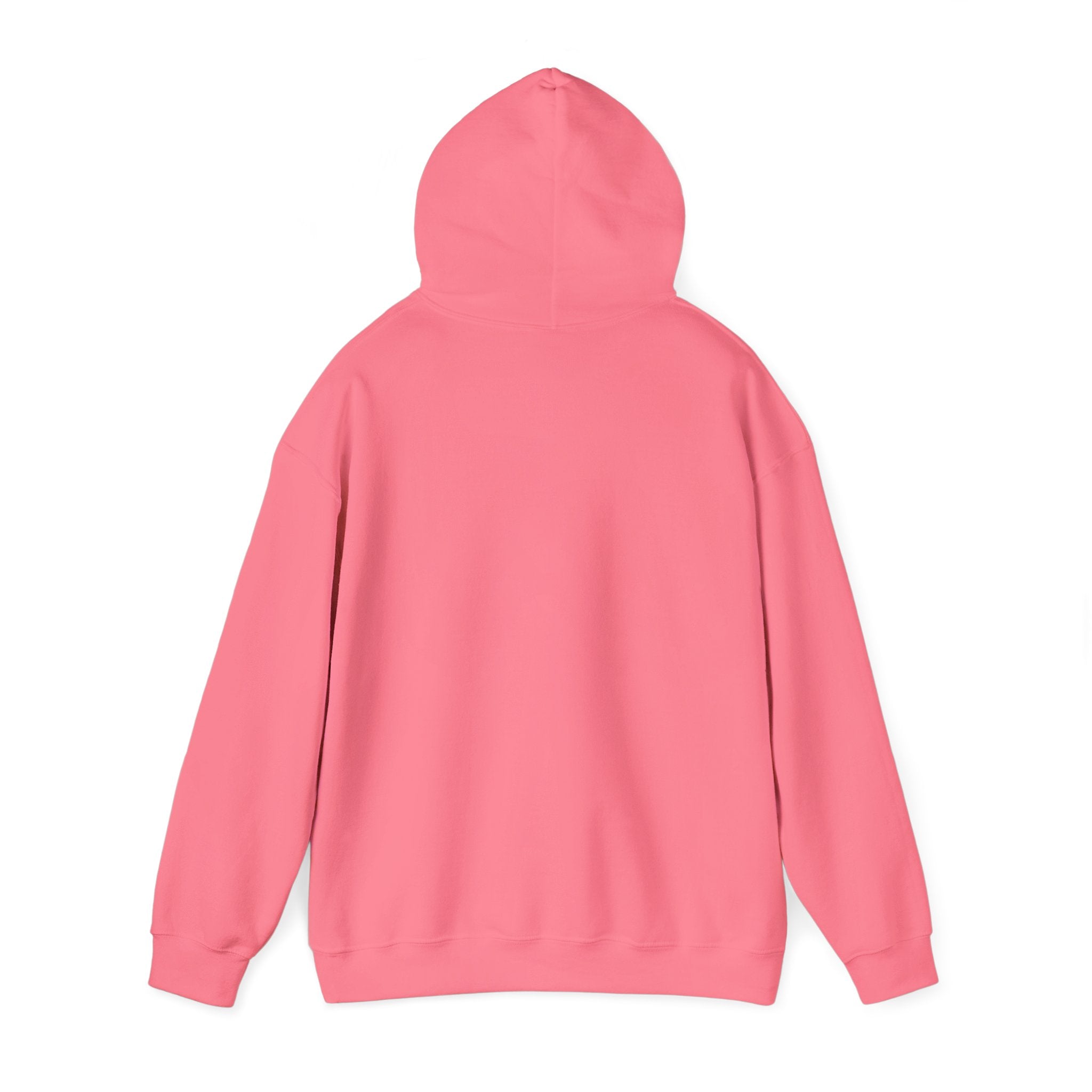 Wolverines Hooded Sweatshirt