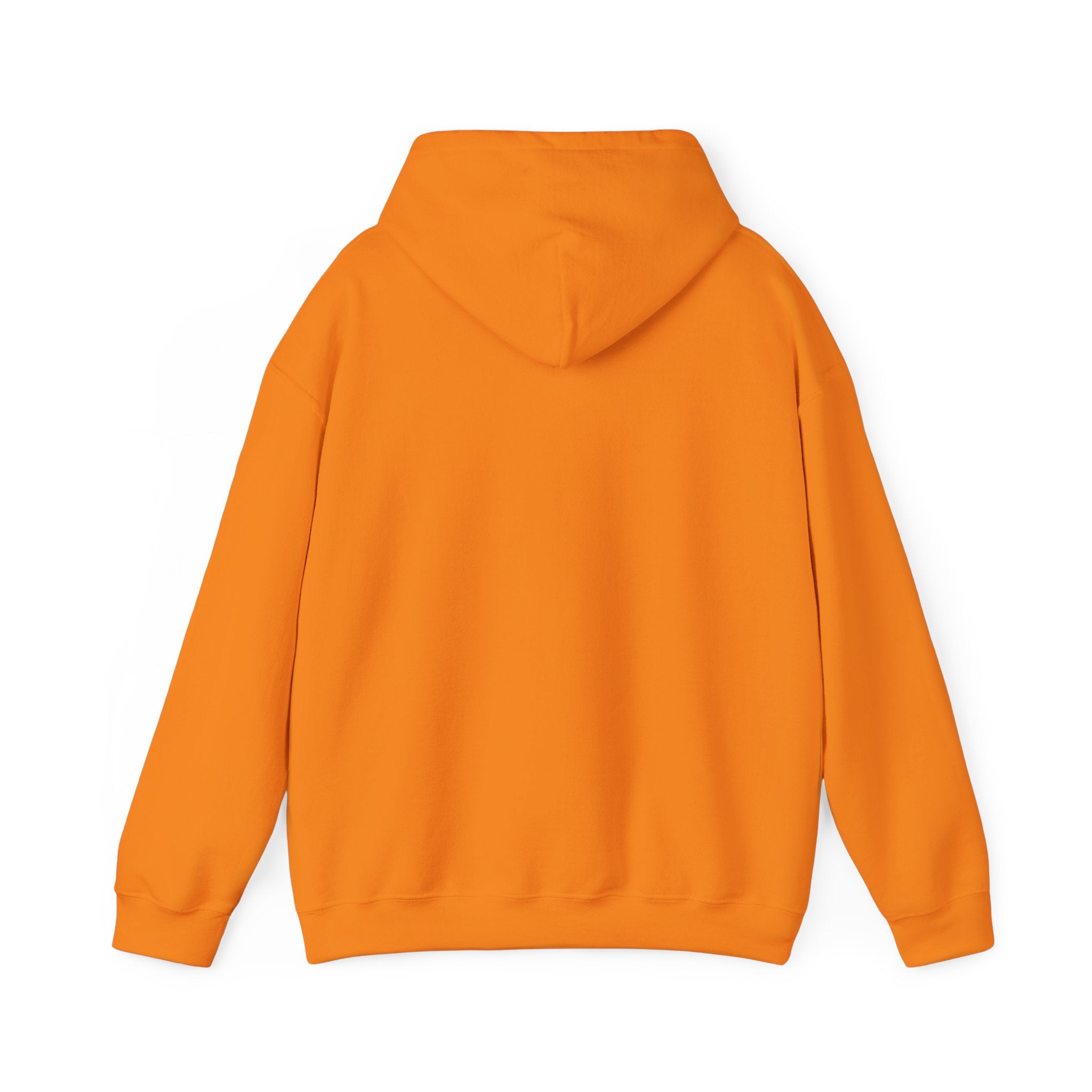 Wolverines Hooded Sweatshirt