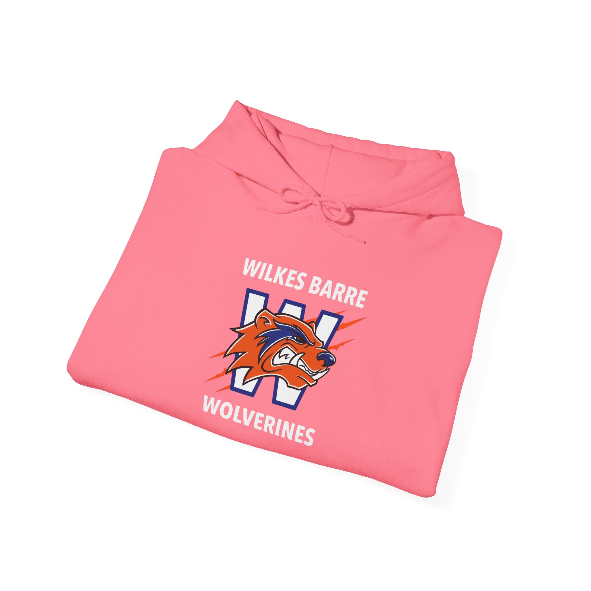 Wolverines Hooded Sweatshirt