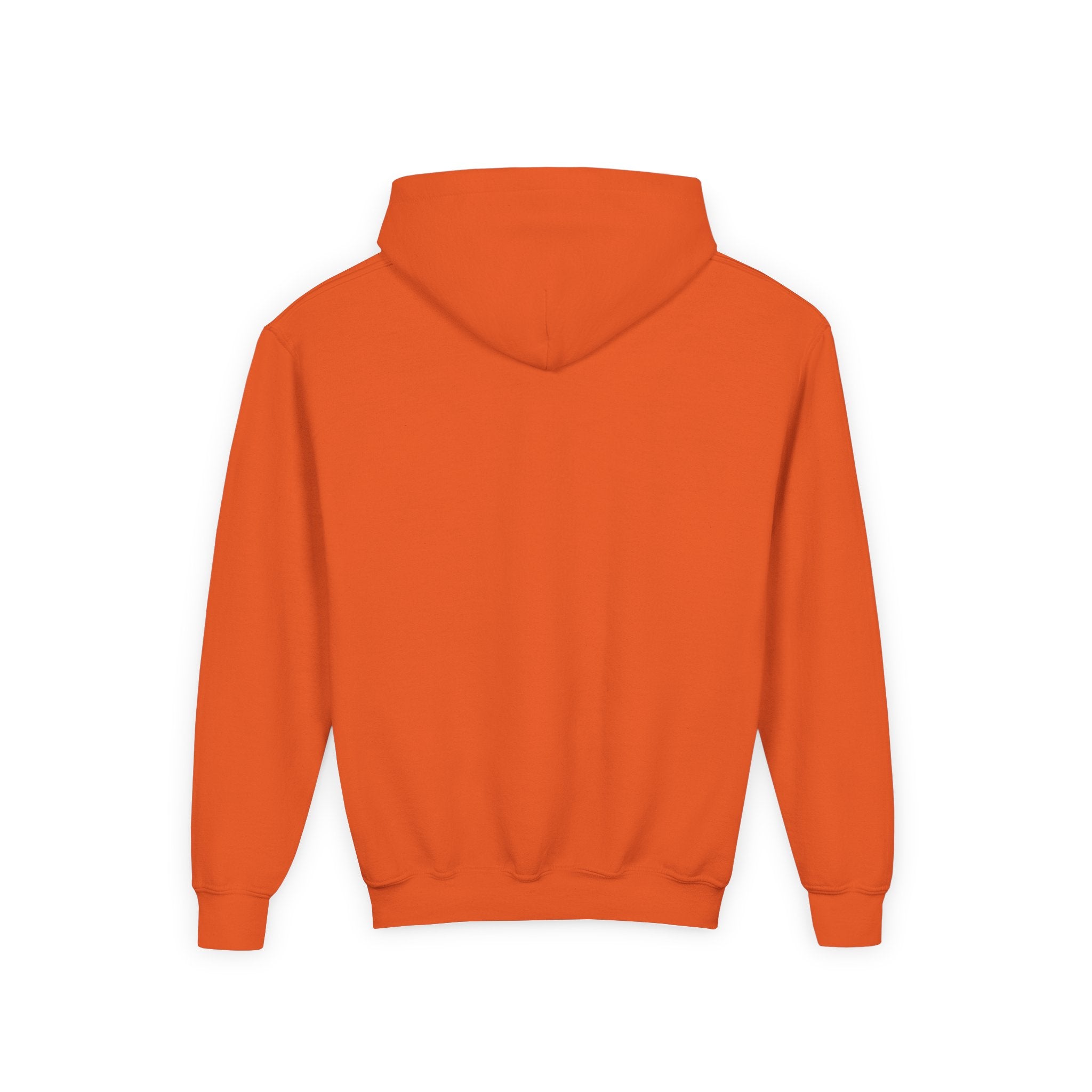 Youth Wolverines Hooded Sweatshirt